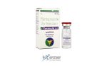 Pantocid IV (Pantoprazole IV) 40mg